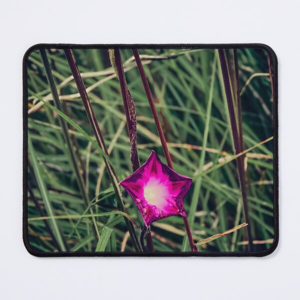 Item preview, Pink Flower in Spring designed and sold by MichaelIery.