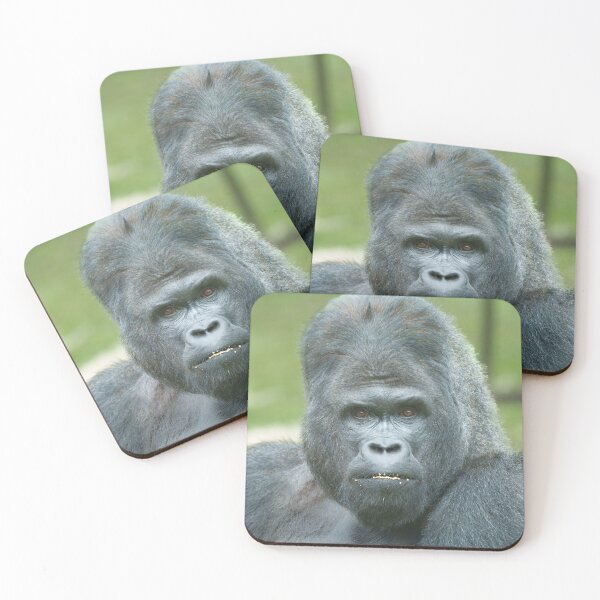 Item preview, Silverback Dishi designed and sold by rawshutterbug.