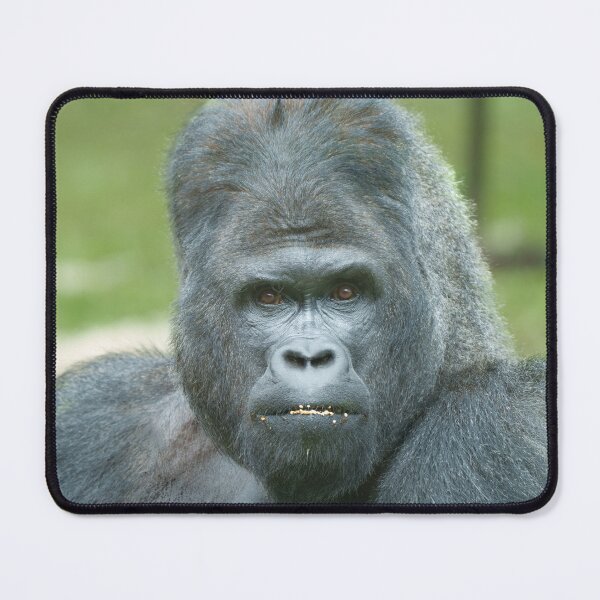 Item preview, Silverback Dishi designed and sold by rawshutterbug.
