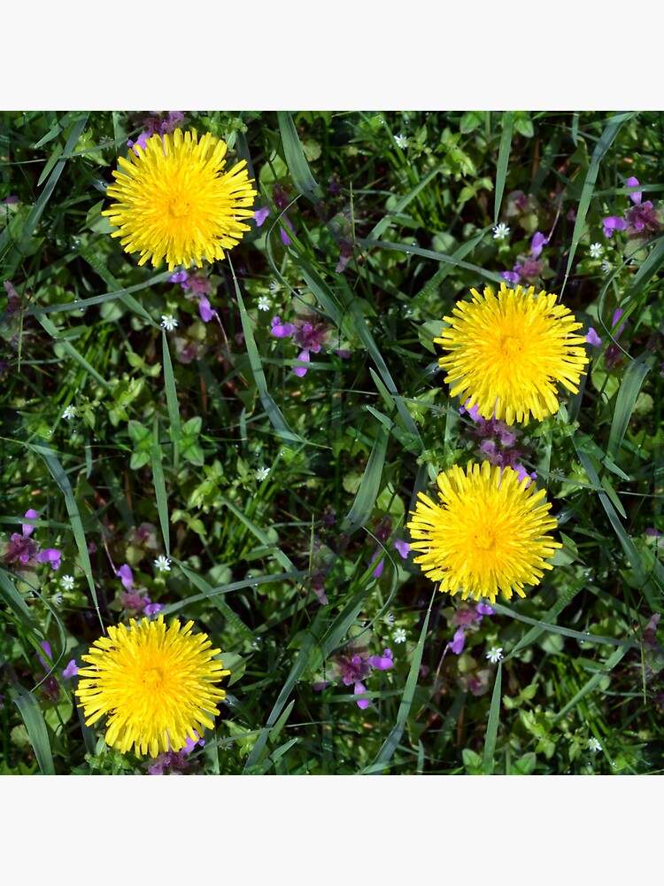 Thumbnail 3 of 3, Sticker, Dandelions, flowers forever designed and sold by starchim01.