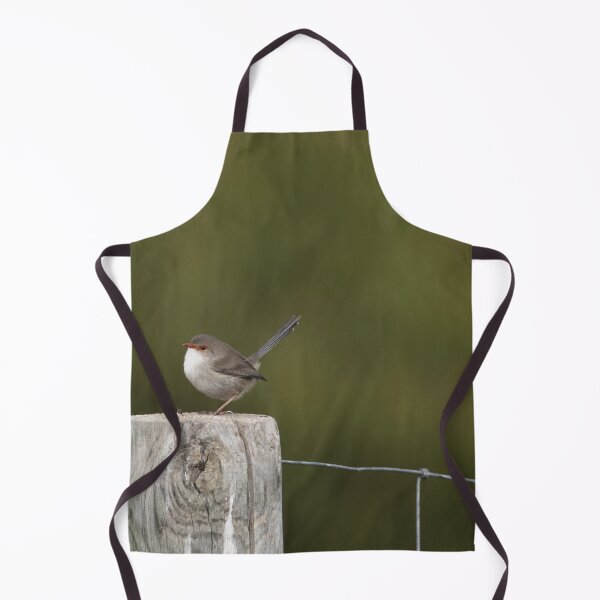 Item preview, Sweet little female Superb Fairy-wren on a post designed and sold by imaginethis.