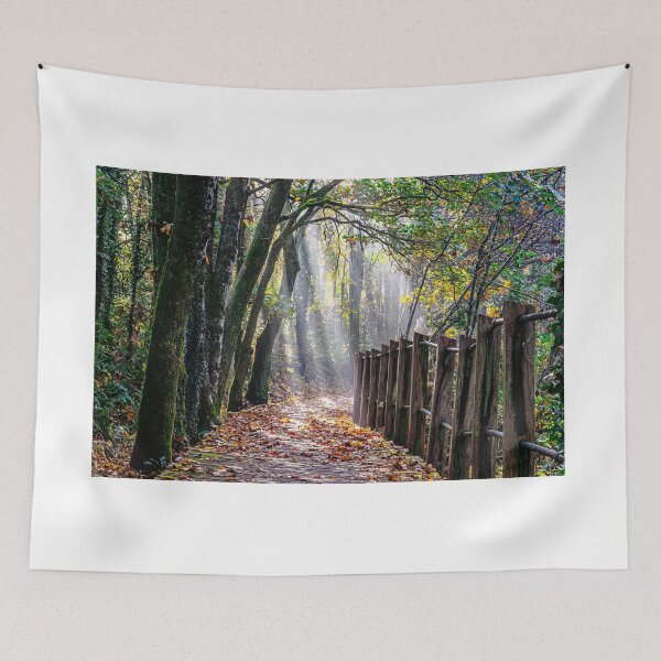 Item preview, Rays of light designed and sold by Jinxyboy1908.