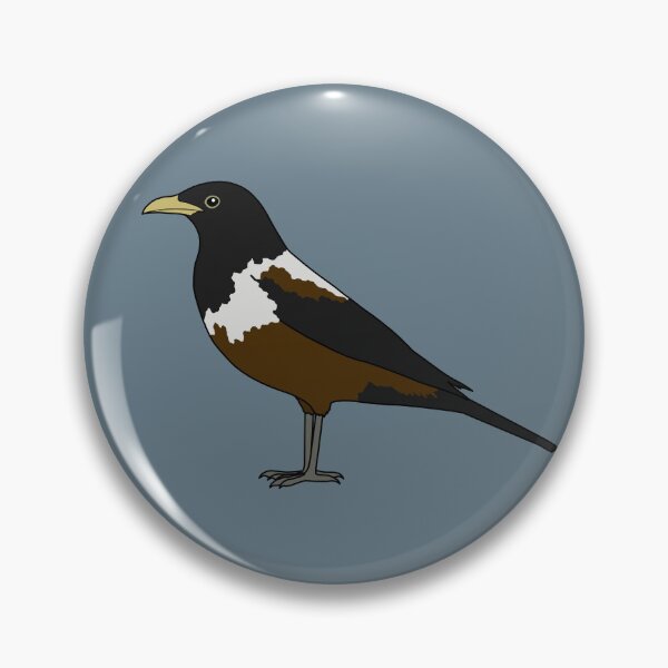 Item preview, White-backed thrush designed and sold by taylorrowan.