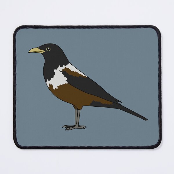 Item preview, White-backed thrush designed and sold by taylorrowan.