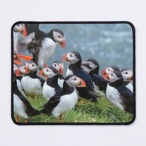 Item preview, Puffins designed and sold by Becky Schnekser.