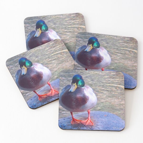 Item preview, Quack Off designed and sold by MarianBendeth.