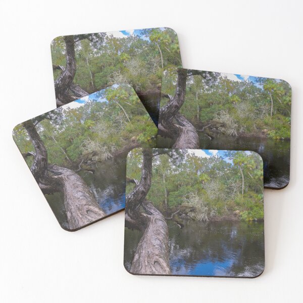 Item preview, Hillsboro River State Park ancient tree sky designed and sold by EyezWatchin.