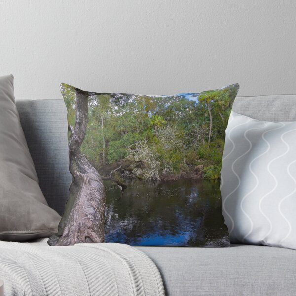 Item preview, Hillsboro River State Park ancient tree sky designed and sold by EyezWatchin.