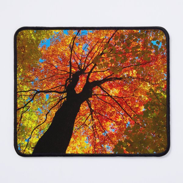 Item preview, Leaf Umbrella designed and sold by MarianBendeth.