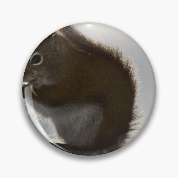 Item preview, A squirrel at the garden feeder designed and sold by Claude Laprise.