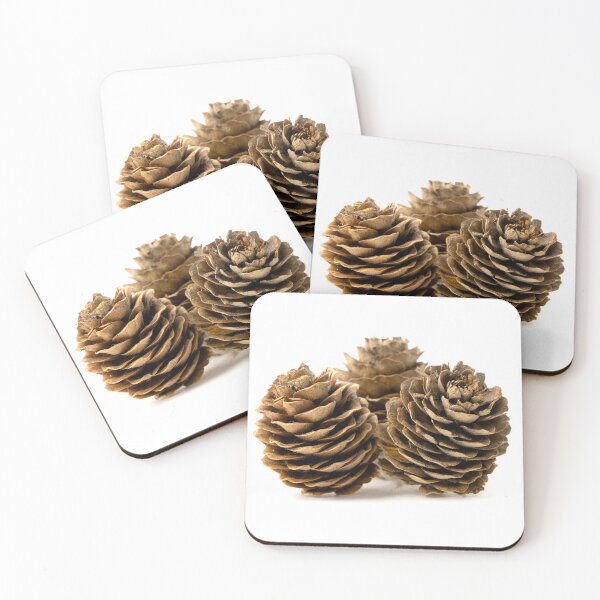 Item preview, Conifer cone designed and sold by troianifabrizio.