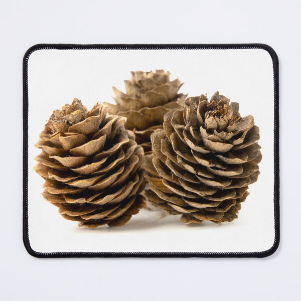 Item preview, Conifer cone designed and sold by troianifabrizio.