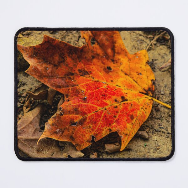 Item preview, Orange Leaf designed and sold by Ann-AnniePhoto.