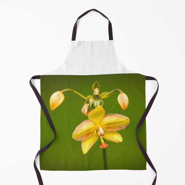 Item preview, Phalaenopsis Yellow Orchid Number 1 designed and sold by RichFrancoCars.