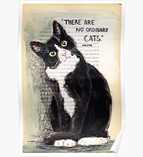CITATION CAT - COLETTE 2 Poster
