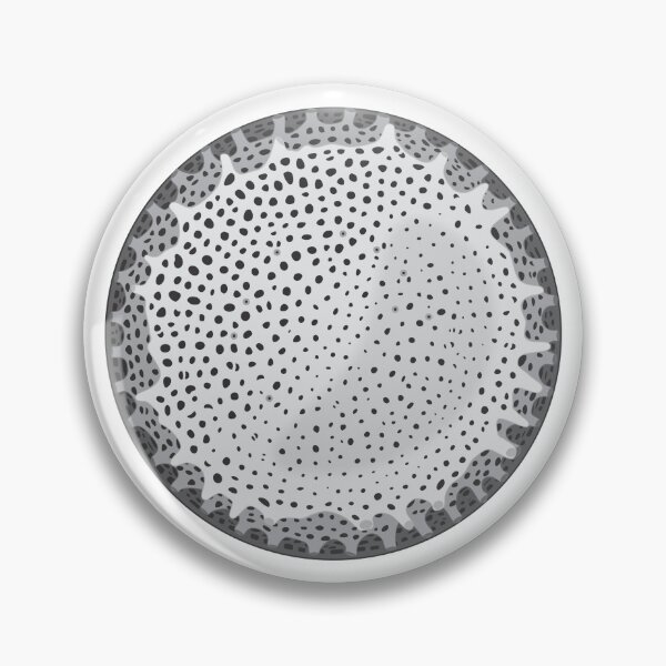 Item preview, Diatom - Thalassiosira lacustris (Gray) designed and sold by DiatomsATTACK.