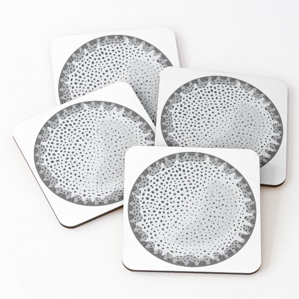 Item preview, Diatom - Thalassiosira lacustris (Gray) designed and sold by DiatomsATTACK.