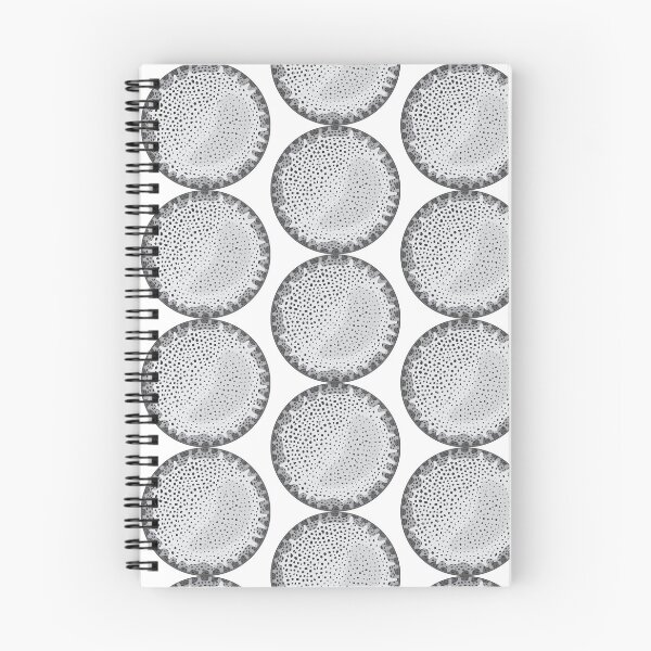 Item preview, Diatom - Thalassiosira lacustris (Gray) designed and sold by DiatomsATTACK.