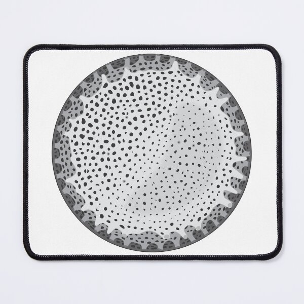 Item preview, Diatom - Thalassiosira lacustris (Gray) designed and sold by DiatomsATTACK.