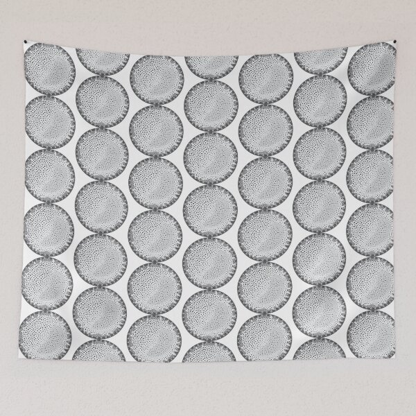 Item preview, Diatom - Thalassiosira lacustris (Gray) designed and sold by DiatomsATTACK.