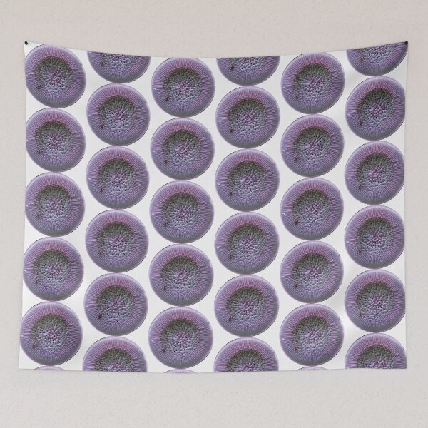 Item preview, Diatom - Lindavia radiosa (SEM) designed and sold by DiatomsATTACK.