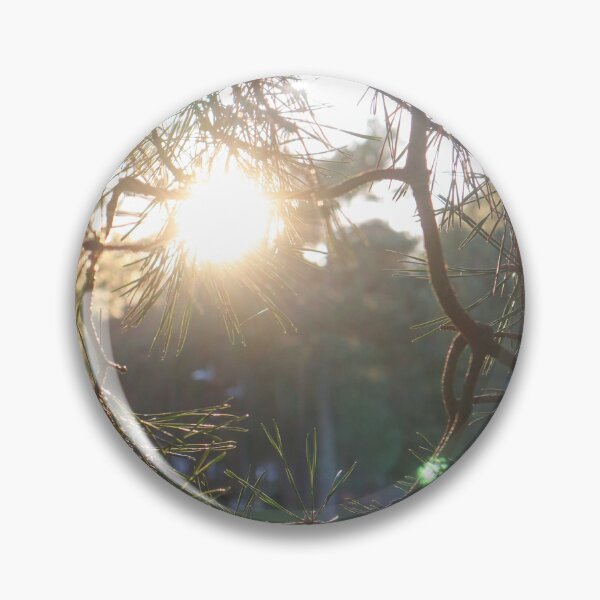 Item preview, Golden Hour Sun Through Needled Branches designed and sold by cnvlphotography.