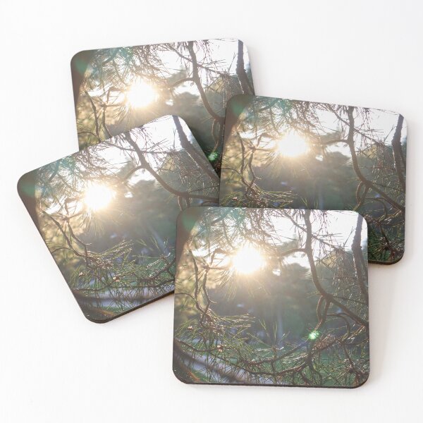 Item preview, Golden Hour Sun Through Needled Branches designed and sold by cnvlphotography.