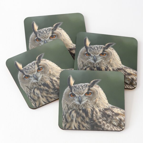 Item preview, Flaco is beautiful  designed and sold by FlacoTheOwl.
