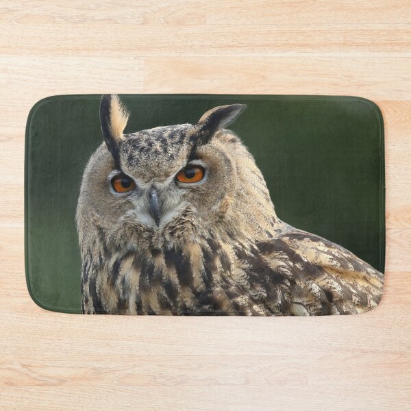 Item preview, Flaco is beautiful  designed and sold by FlacoTheOwl.