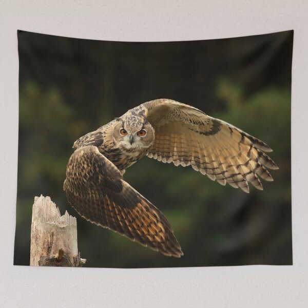 Item preview, In flight designed and sold by FlacoTheOwl.