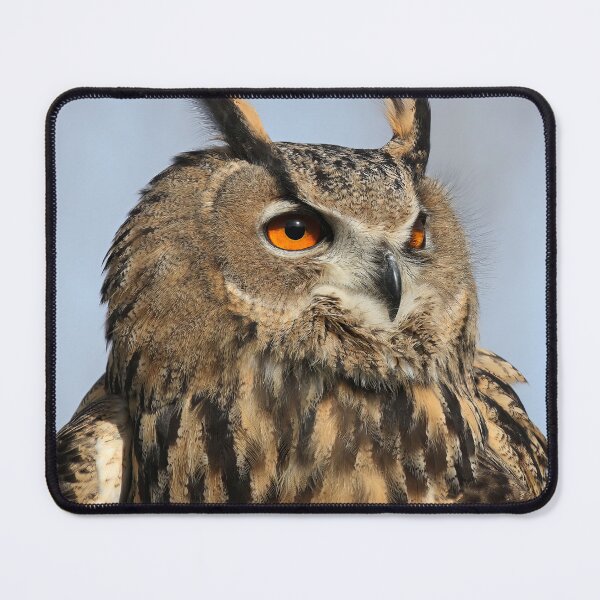 Item preview, The wisest owl of all designed and sold by FlacoTheOwl.