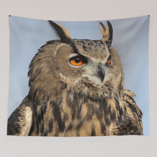 Item preview, The wisest owl of all designed and sold by FlacoTheOwl.