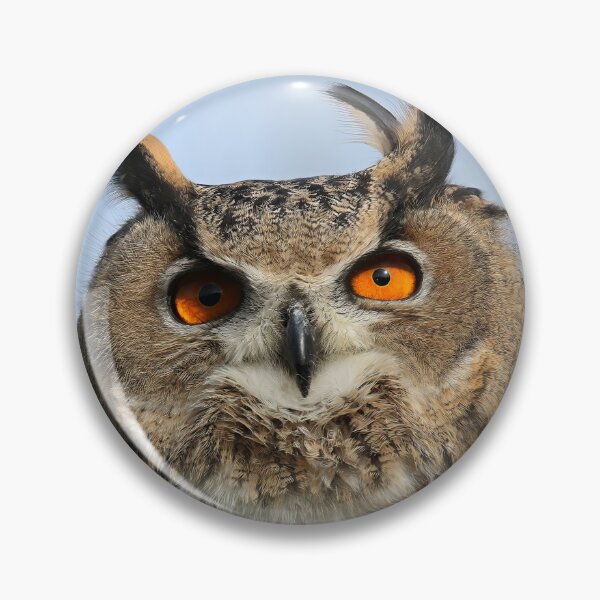 Item preview, Flaco will always be king designed and sold by FlacoTheOwl.