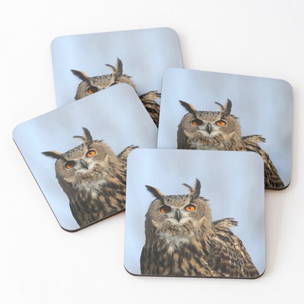 Item preview, Flaco will always be king designed and sold by FlacoTheOwl.