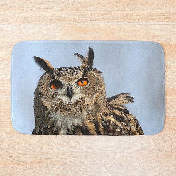 Item preview, Flaco will always be king designed and sold by FlacoTheOwl.