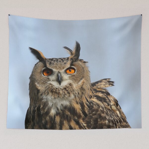 Item preview, Flaco will always be king designed and sold by FlacoTheOwl.