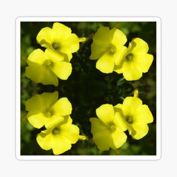 Soursob in the Garden Sticker