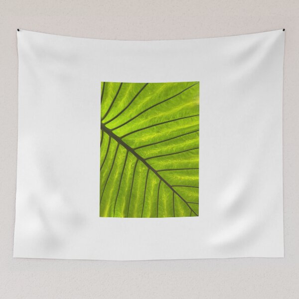 Item preview, Leaf designed and sold by perryartdesign.
