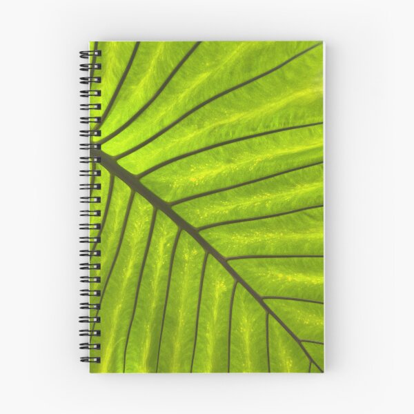Item preview, Leaf designed and sold by perryartdesign.