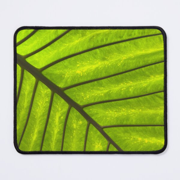Item preview, Leaf designed and sold by perryartdesign.