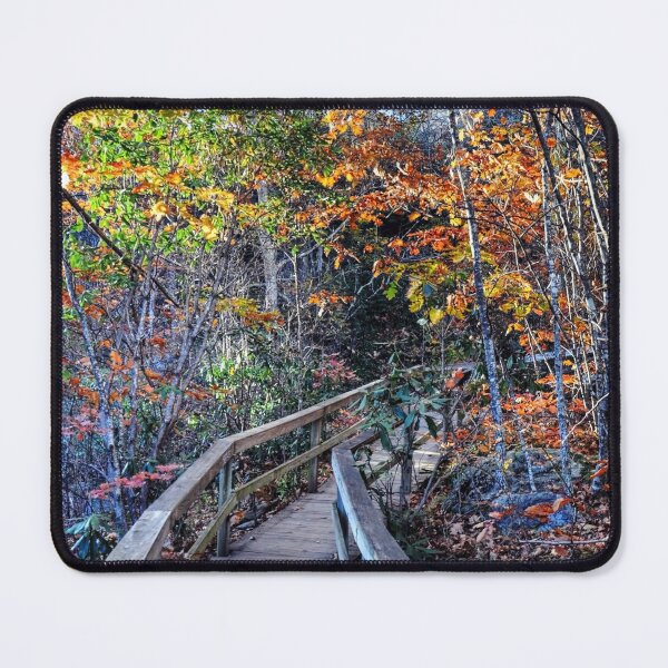 Item preview, Hiking Trail With Wooden Handrails In Forest designed and sold by Savannah Gibbs.