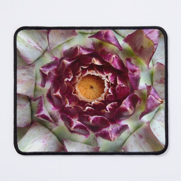 Item preview, Artichoke designed and sold by PumpkinStudioPL.