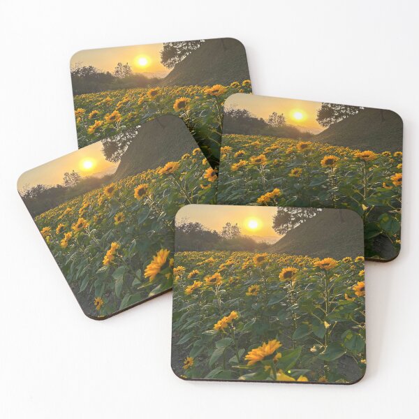 Item preview, Sunset Over a Sunflower Field in Gyeongju | South Korea Travel Photography designed and sold by YemmyZImages.