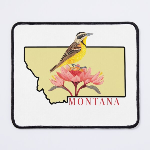 Item preview, Montana State bird and Flower designed and sold by adventurehaven.
