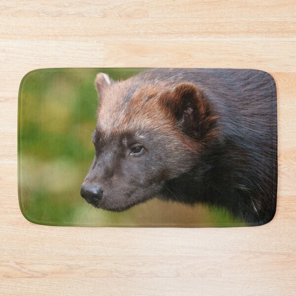 Item preview, Close Encounter with Wolverine designed and sold by rawshutterbug.