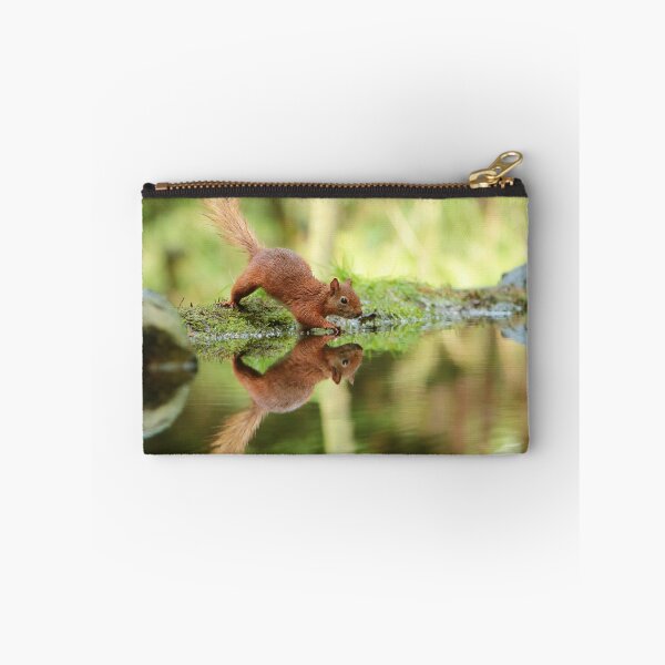 Item preview, Cute Red Squirrel 5  designed and sold by HelkoryoArt.