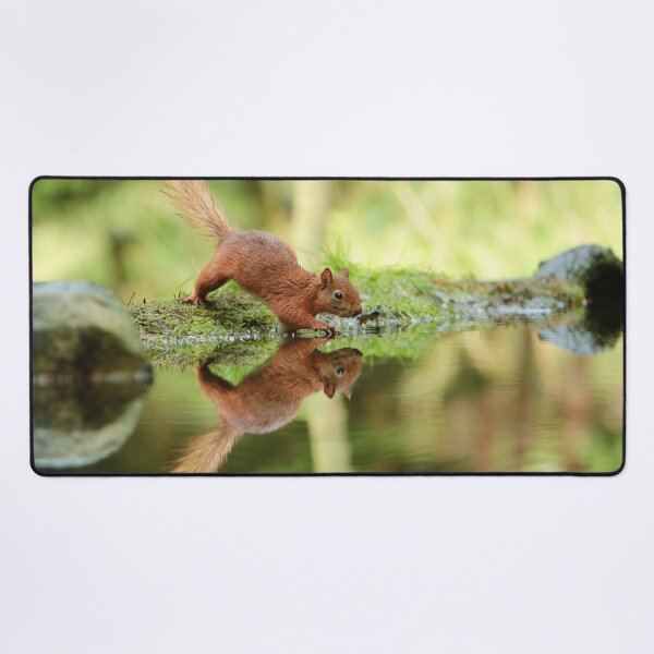 Item preview, Cute Red Squirrel 5 designed and sold by HelkoryoArt.