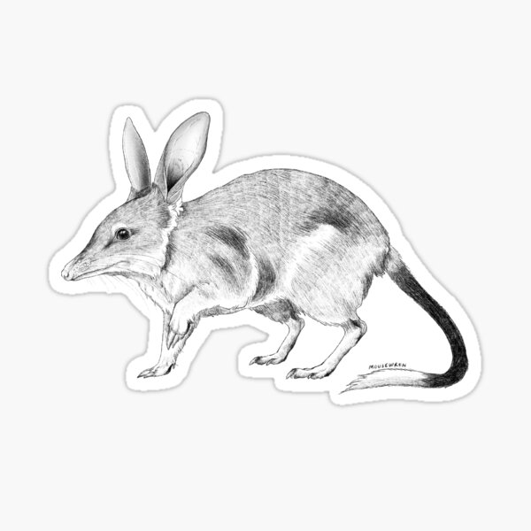 Item preview, Greater Bilby Illustration designed and sold by Mousewren.