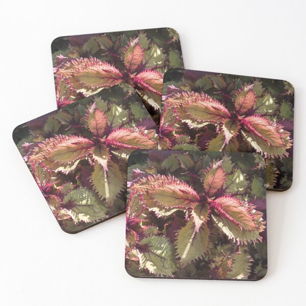 Item preview, Vibrant Variegated Leafery designed and sold by Georgia Mizuleva.