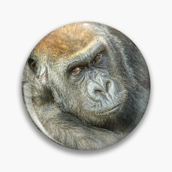 Item preview, Gorilla Confusion designed and sold by HelkoryoArt.